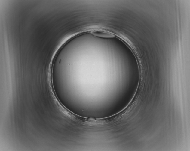 X0000115831392200911201456