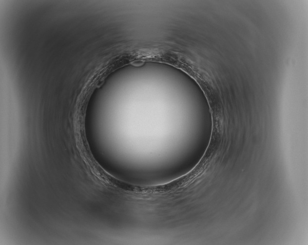 X0000115831393200911201456