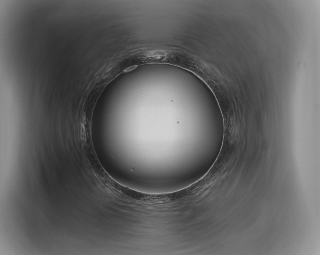 X0000115831394200911201456