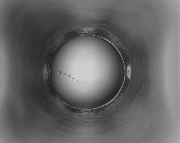 X0000115831395200911201456