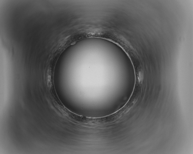 X0000115831396200911201456