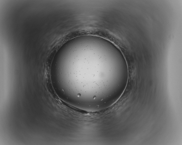 X0000115831397200911201456