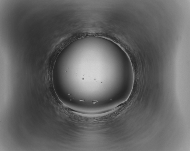 X0000115831398200911201456