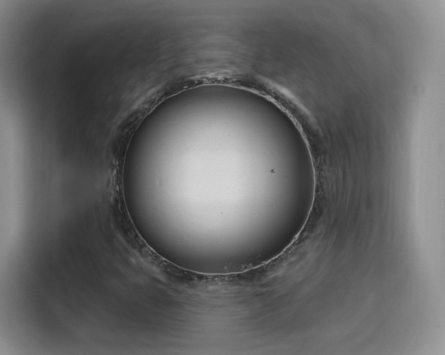 X0000115831399200911201456