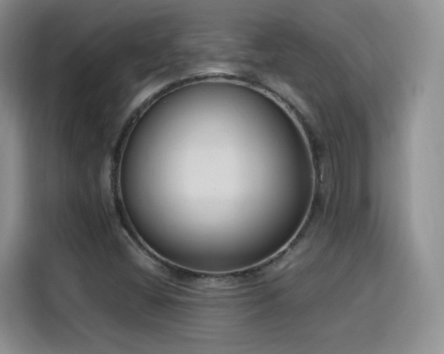 X0000115831404200911201456