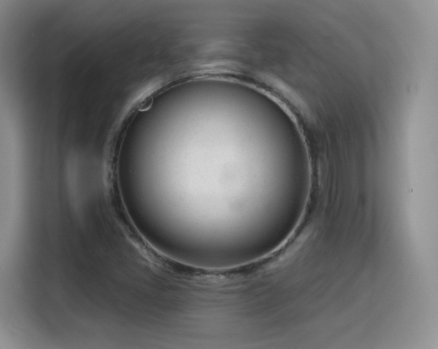 X0000115831405200911201456