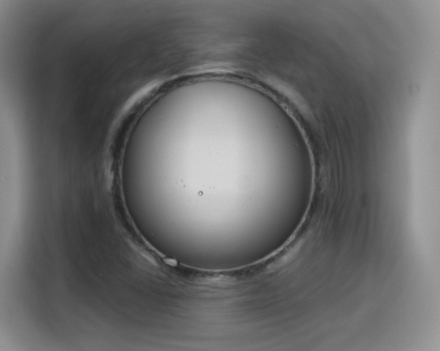 X0000115831406200911201456