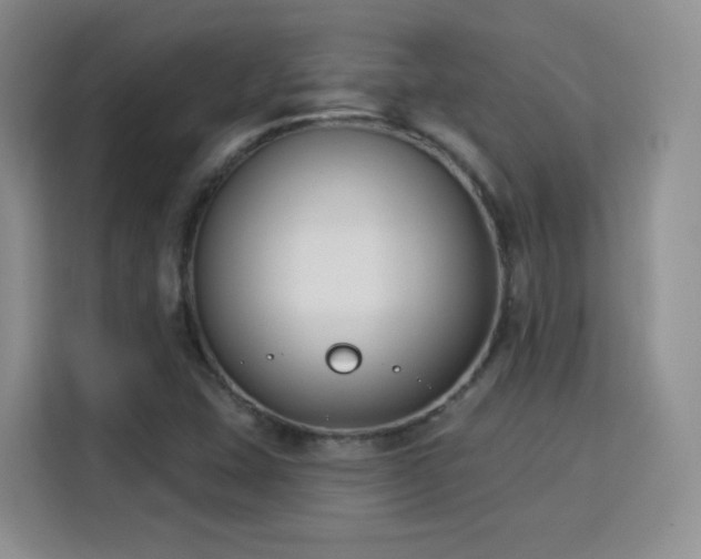 X0000115831407200911201456