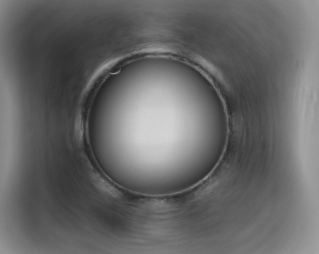 X0000115831408200911201456