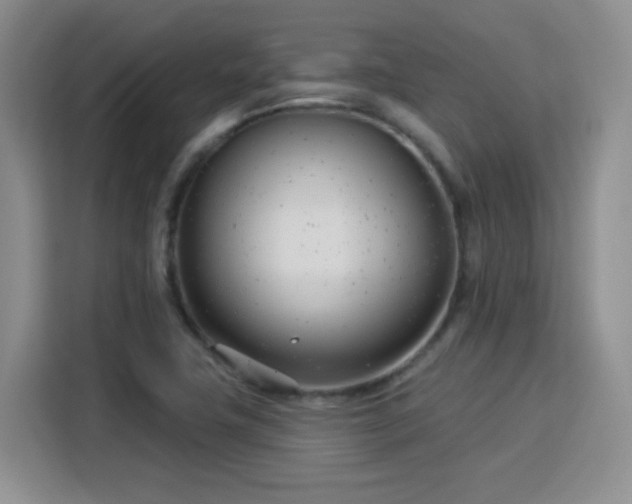 X0000115831411200911201456