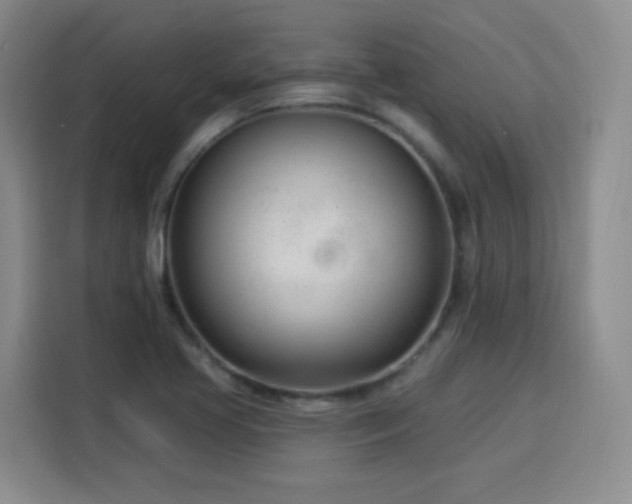 X0000115831413200911201456