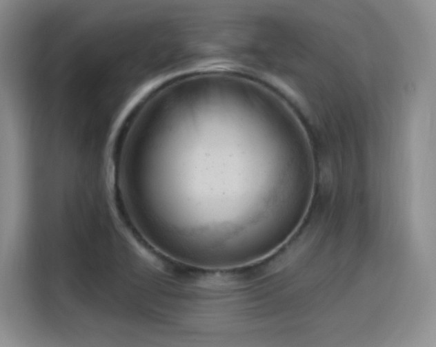 X0000115831414200911201456