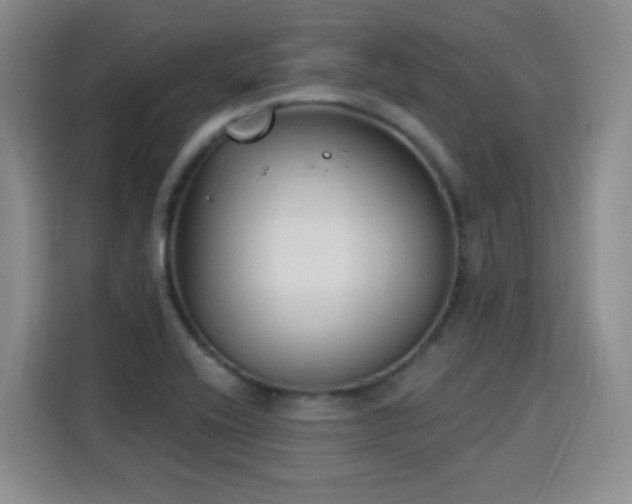 X0000115831416200911201456