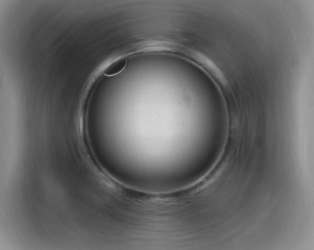 X0000115831419200911201456