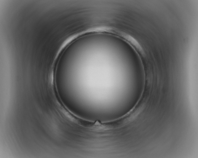 X0000115831420200911201456