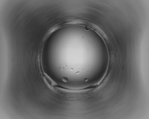 X0000115831425200911201456