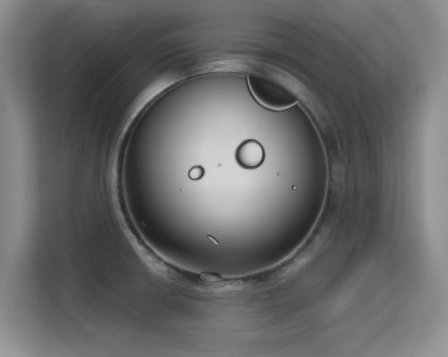 X0000115831426200911201456