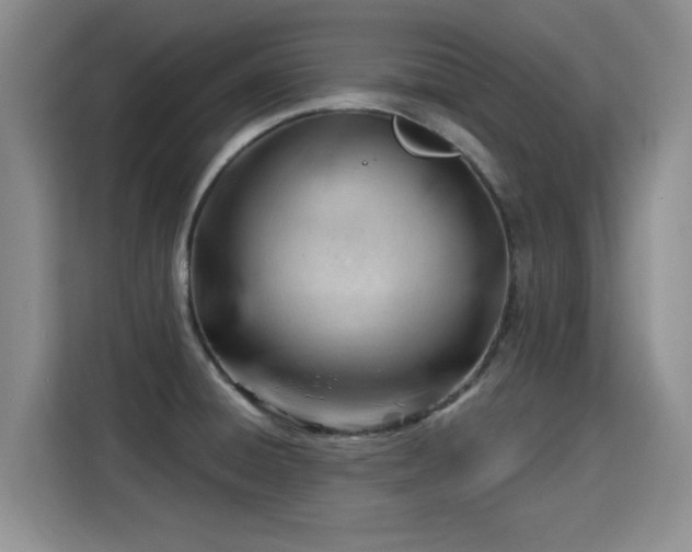 X0000115831428200911201456