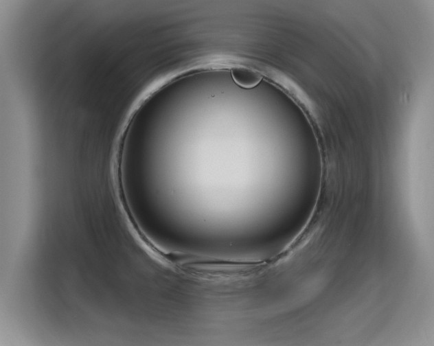 X0000115831429200911201456