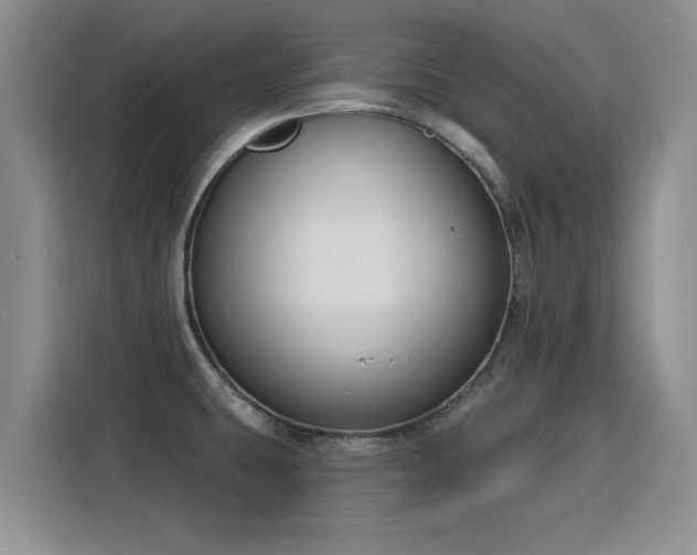 X0000115831431200911201456