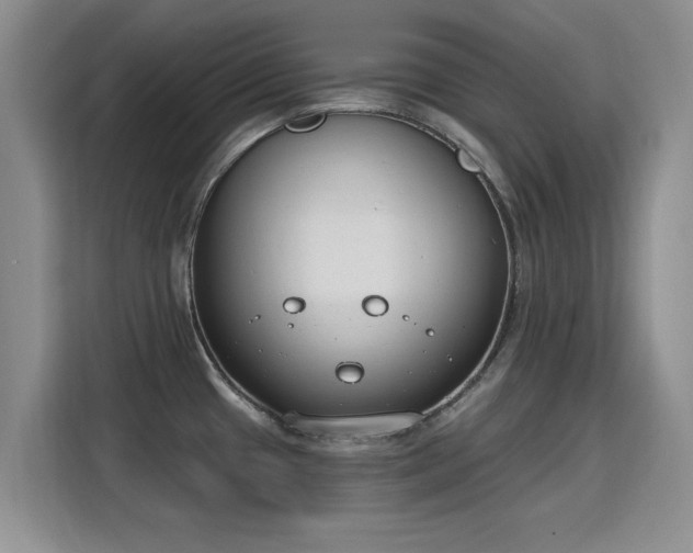 X0000115831433200911201456