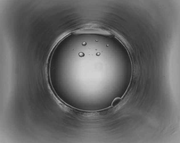 X0000115831434200911201456