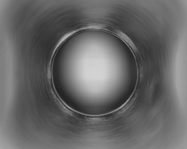 X0000115831436200911201456