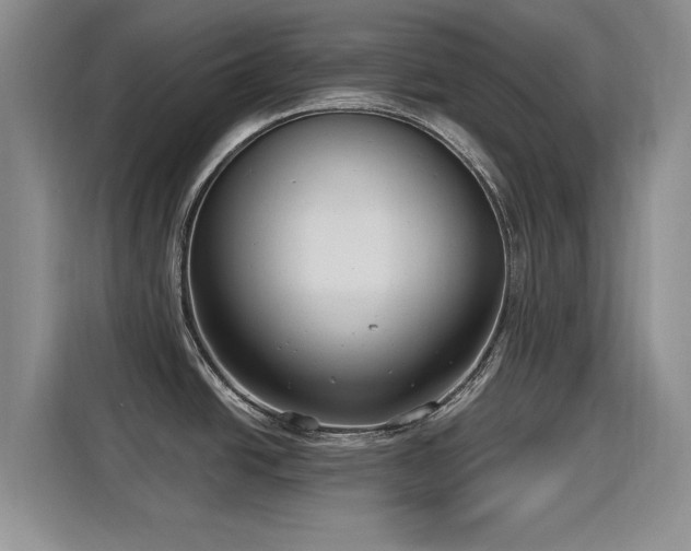 X0000115831438200911201456