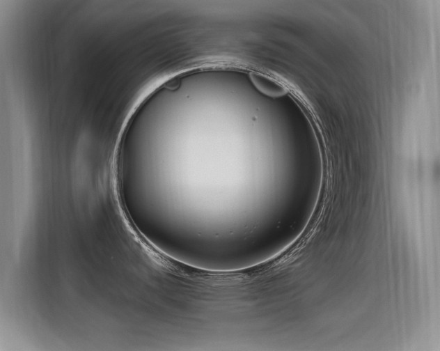 X0000115831440200911201456