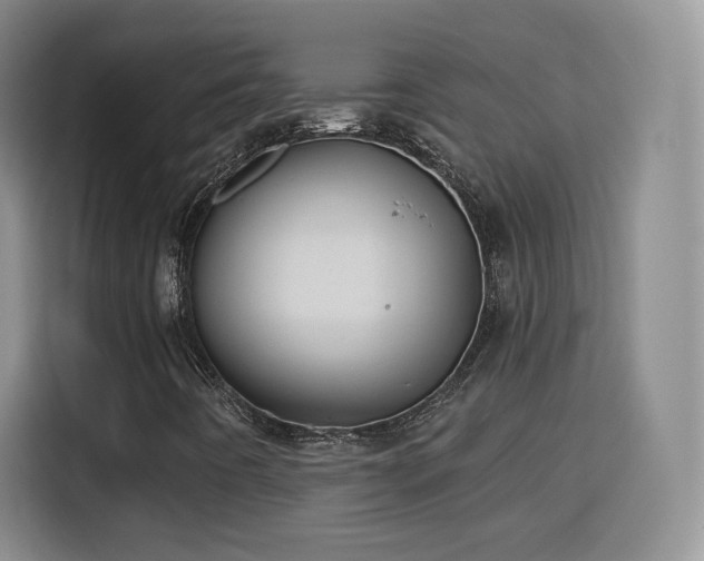 X0000115831442200911201456