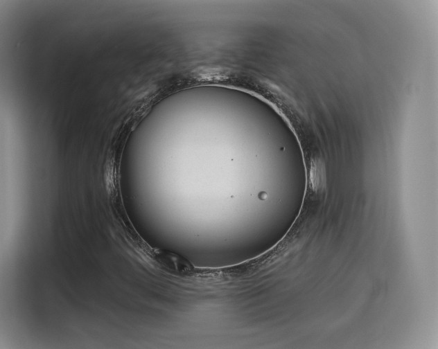 X0000115831444200911201456