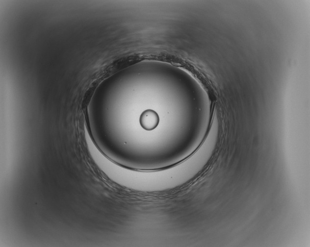 X0000115831445200911201456