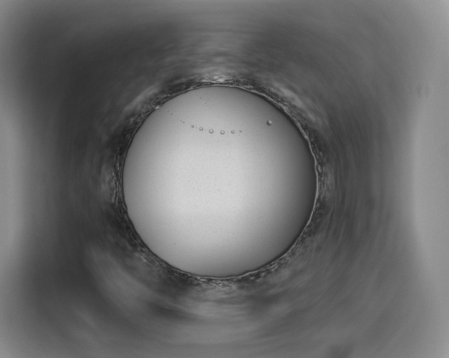 X0000115831446200911201456