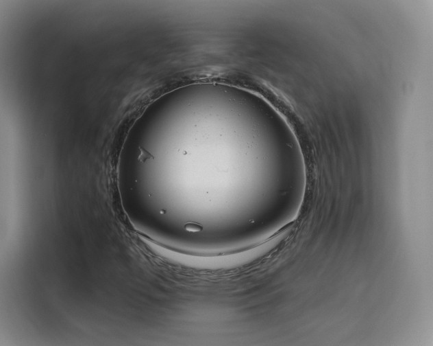 X0000115831447200911201456