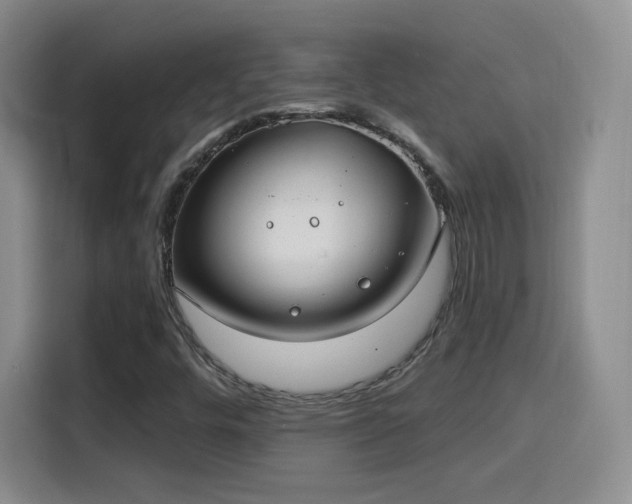 X0000115831448200911201456