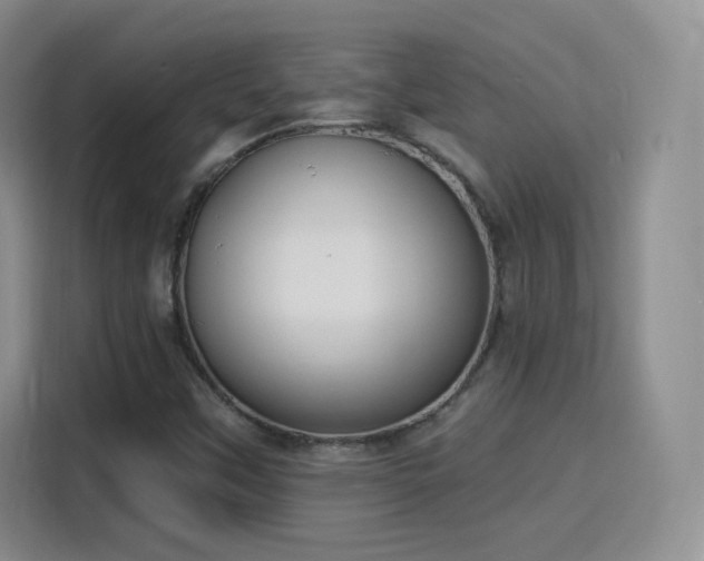 X0000115831451200911201456