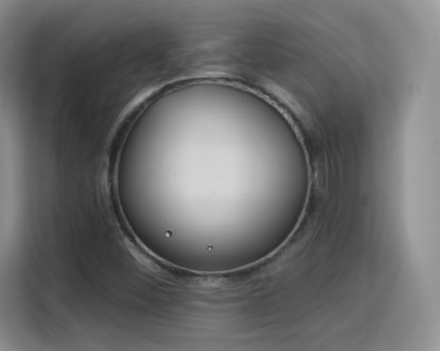 X0000115831452200911201456