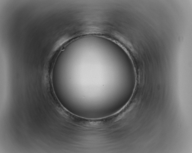 X0000115831453200911201456