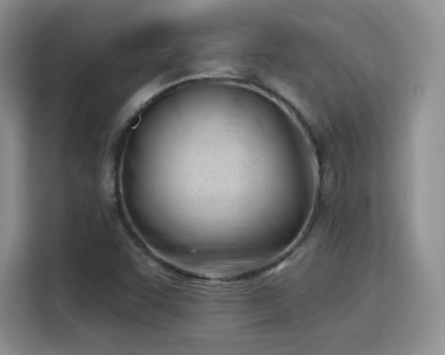 X0000115831455200911201456