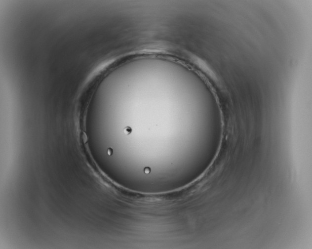 X0000115831456200911201456