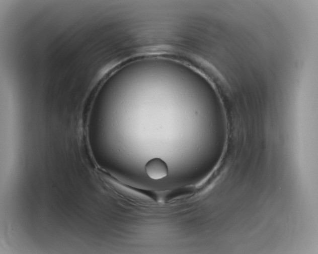 X0000115831457200911201456