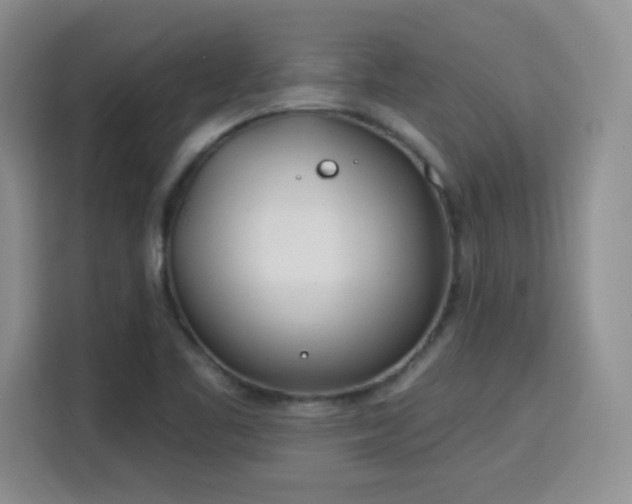 X0000115831461200911201455