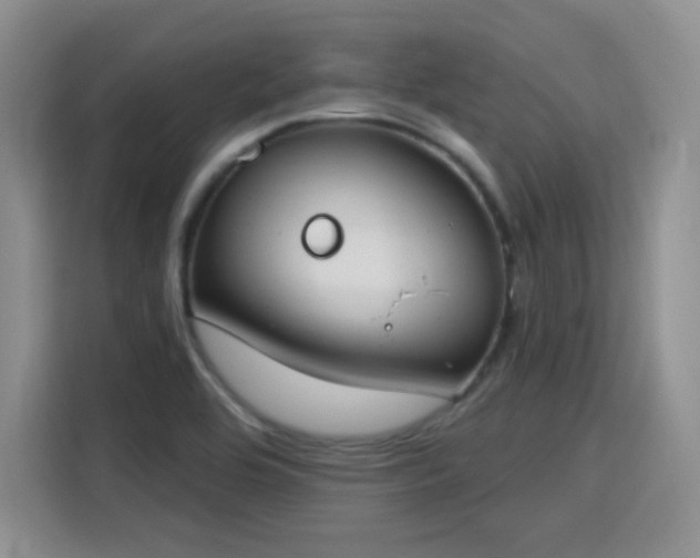 X0000115831464200911201455