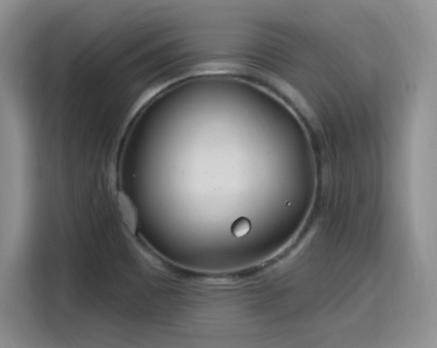 X0000115831465200911201455