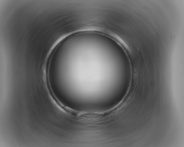 X0000115831468200911201455