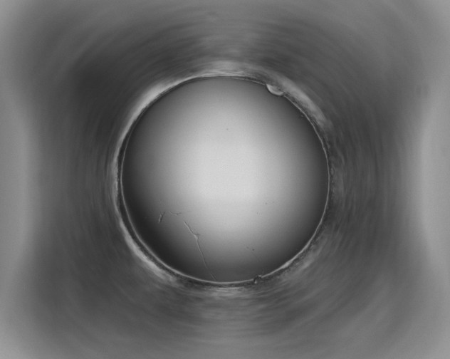 X0000115831479200911201455