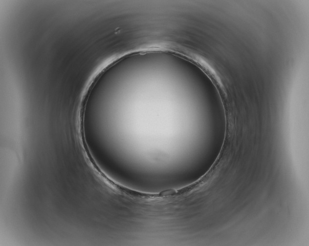 X0000115831480200911201455