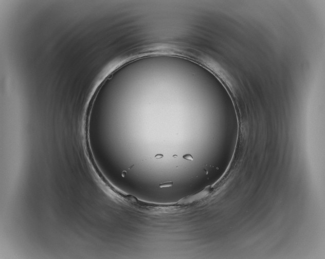 X0000115831482200911201455