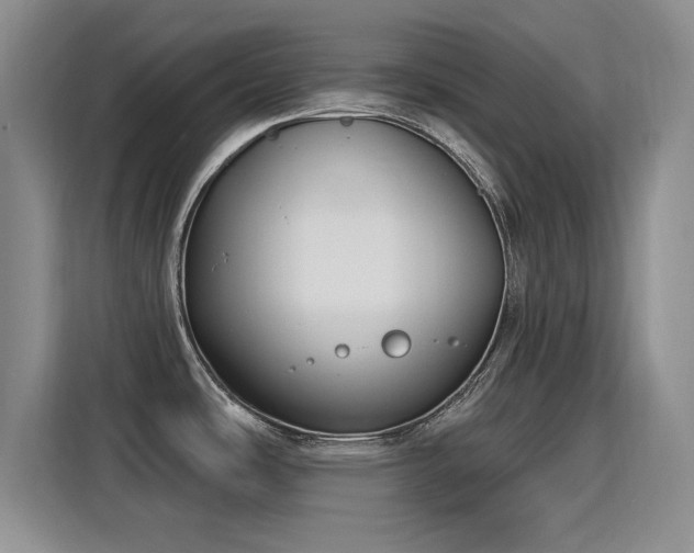 X0000115831486200911201455