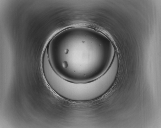 X0000115831488200911201455